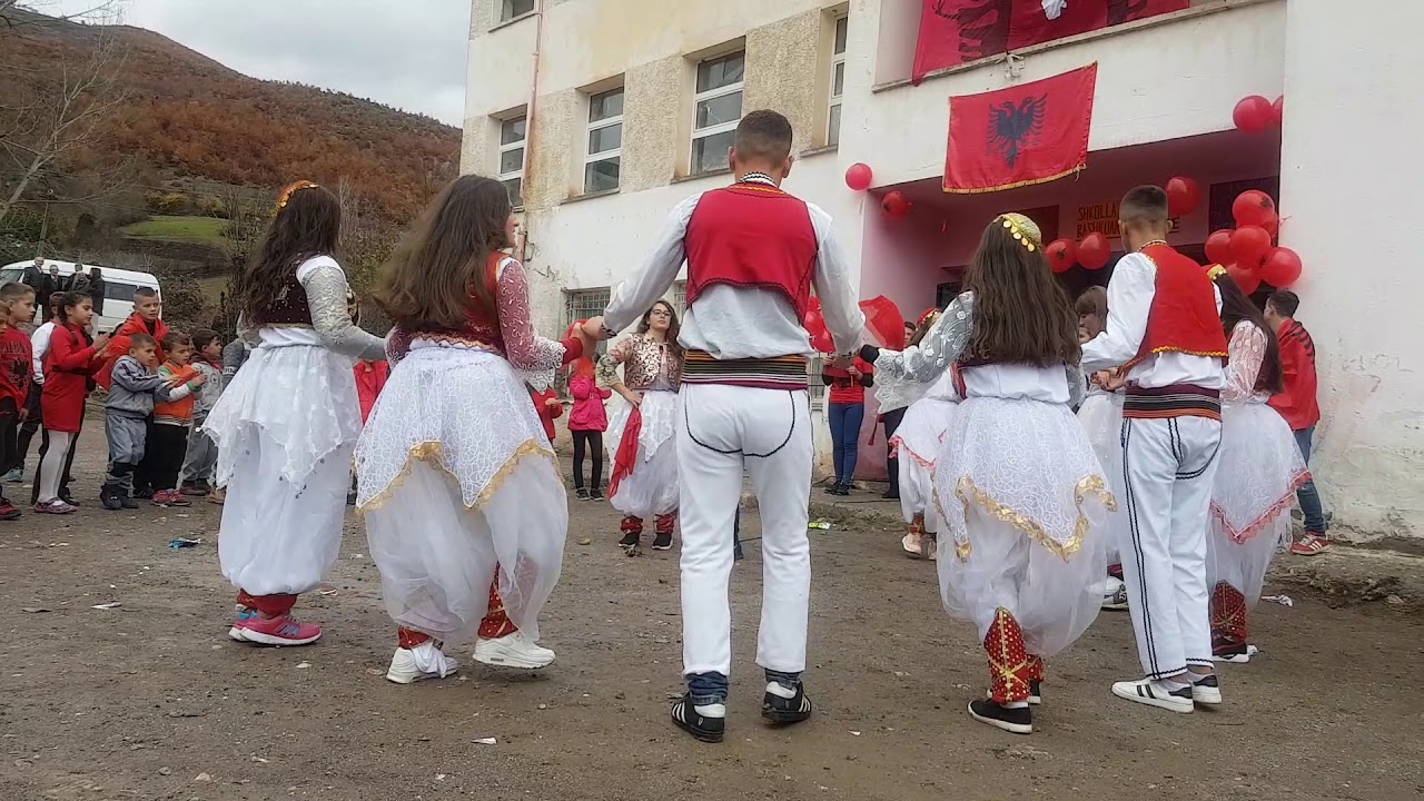 Sh M B Zall Dardhë 28 Nëntor 2018