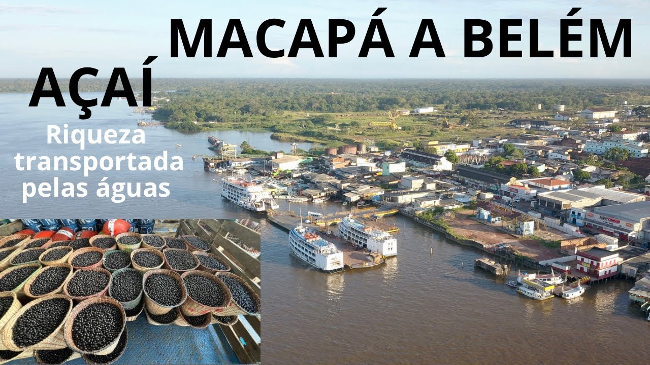 Viagem de barco Macapá a Belém, transporte do açaí navegando pelas águas do sabor da Amazônia