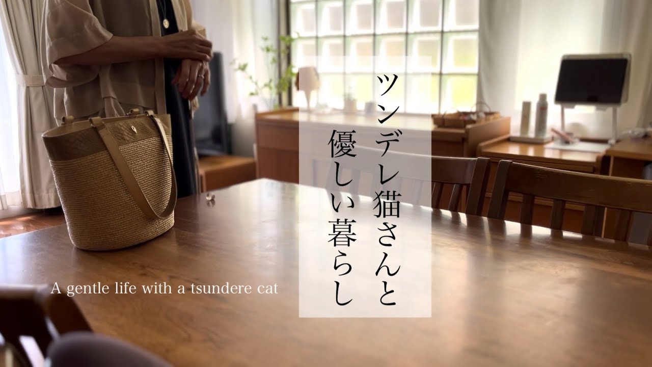 【ツンデレ猫さんと優しい暮らし】お弁当/夏の猫ベッド/I'mドーナツを作る/新宿カフェ