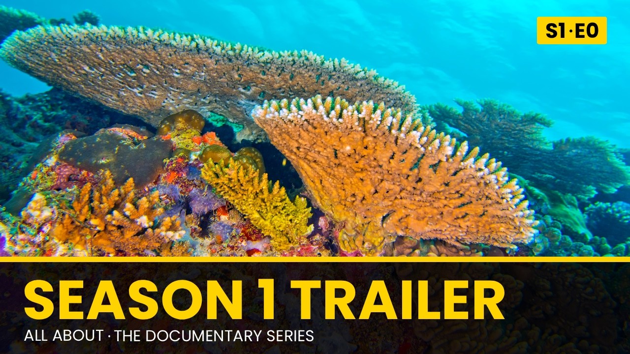 Exclusive Sneak Peak of the All About Documentary Series | Coming This September