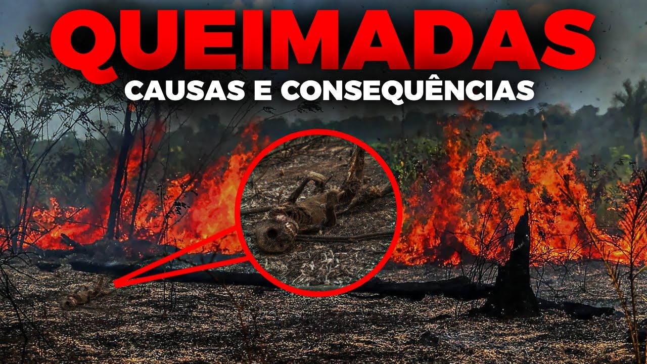 AS QUEIMADAS NO BRASIL | CAUSAS, IMPACTOS E CONSEQU&Ecirc;NCIAS DESSAS QUEIMADAS