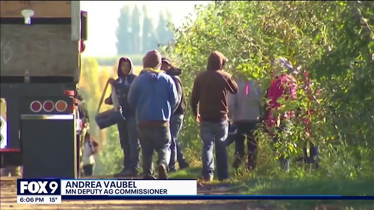 ICE operations: Minnesota farmers warn of economic impact