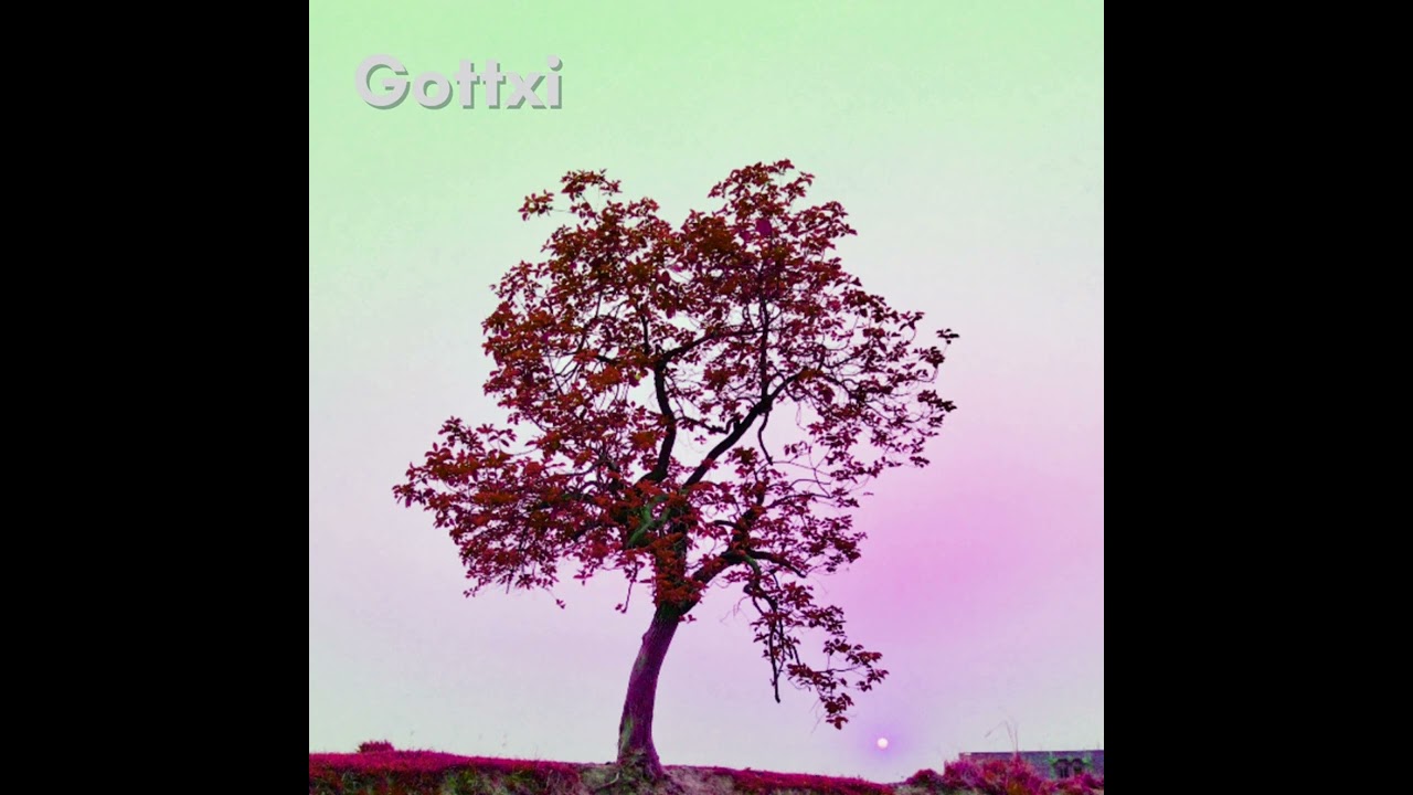 Gottxi - Euphoric.