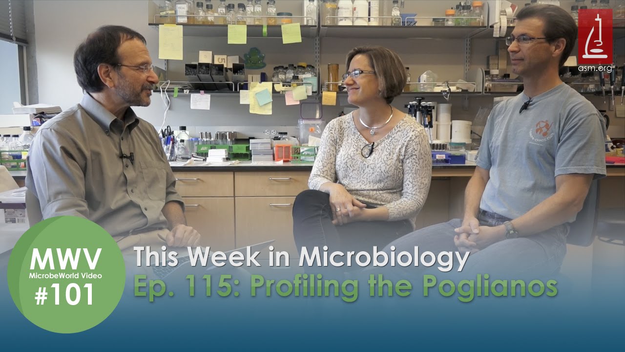 Profiling the Poglianos - This Week in Microbiology 