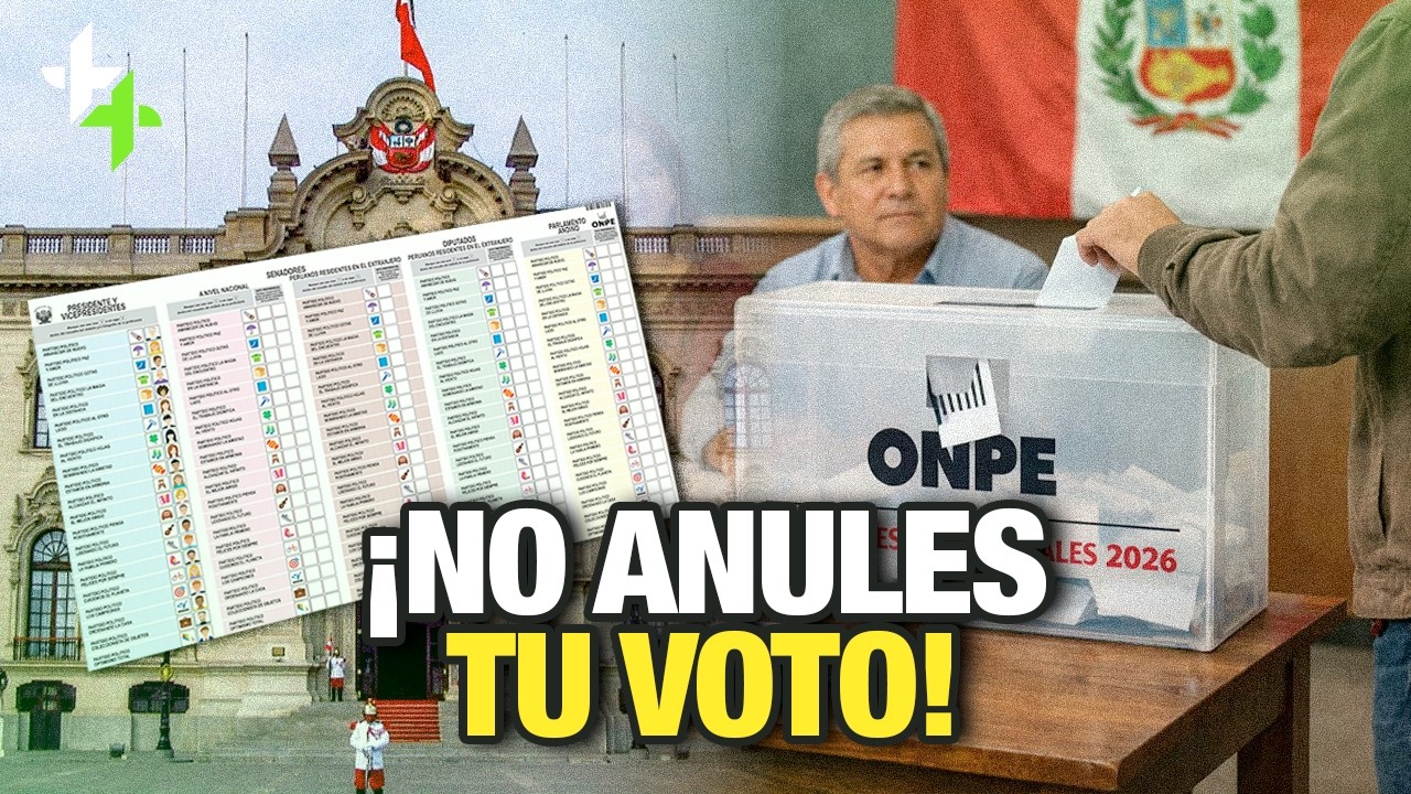 Elecciones 2026: Así debes votar para que tu voto sea válido | Territorio Tomado