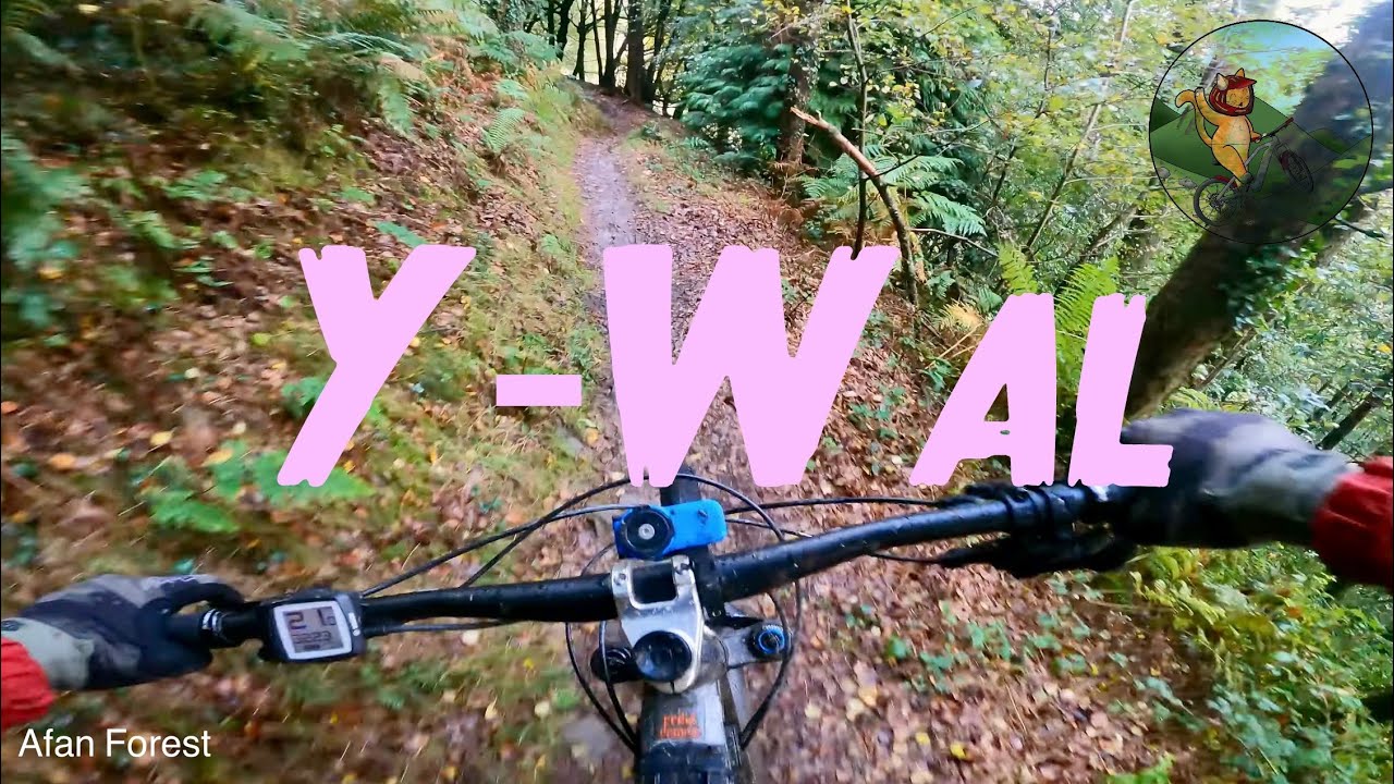 Y-Wall (RED) Afan Forest Park