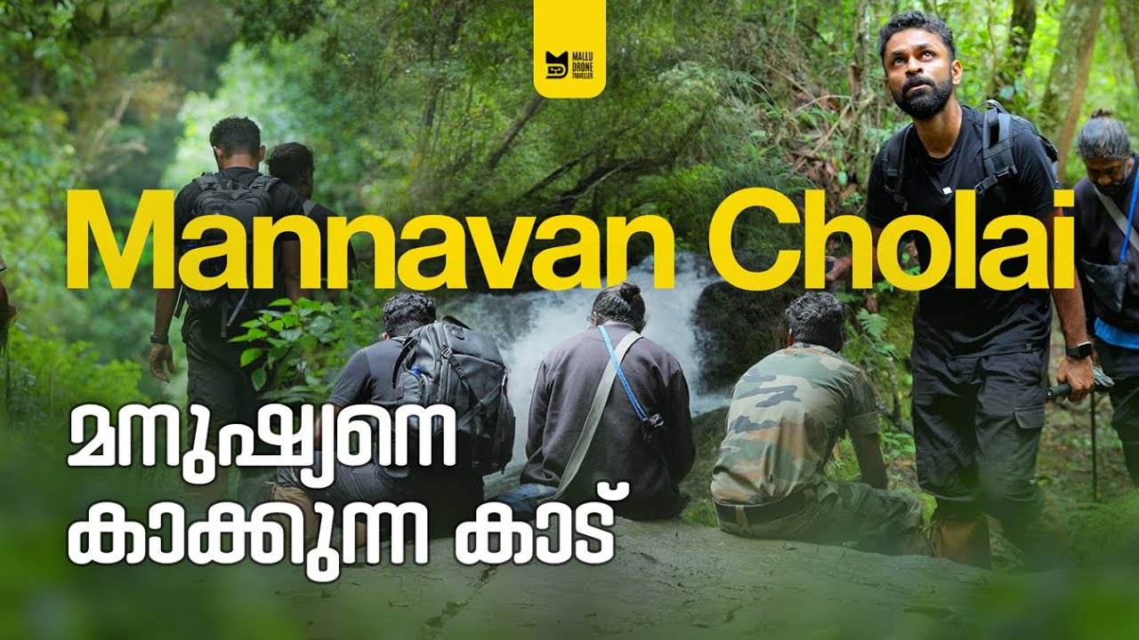 Mannavan Cholai(മന്നവൻ ചോലൈ) - Kanthalloor’s Hidden Forest That Saves 10 Villages!