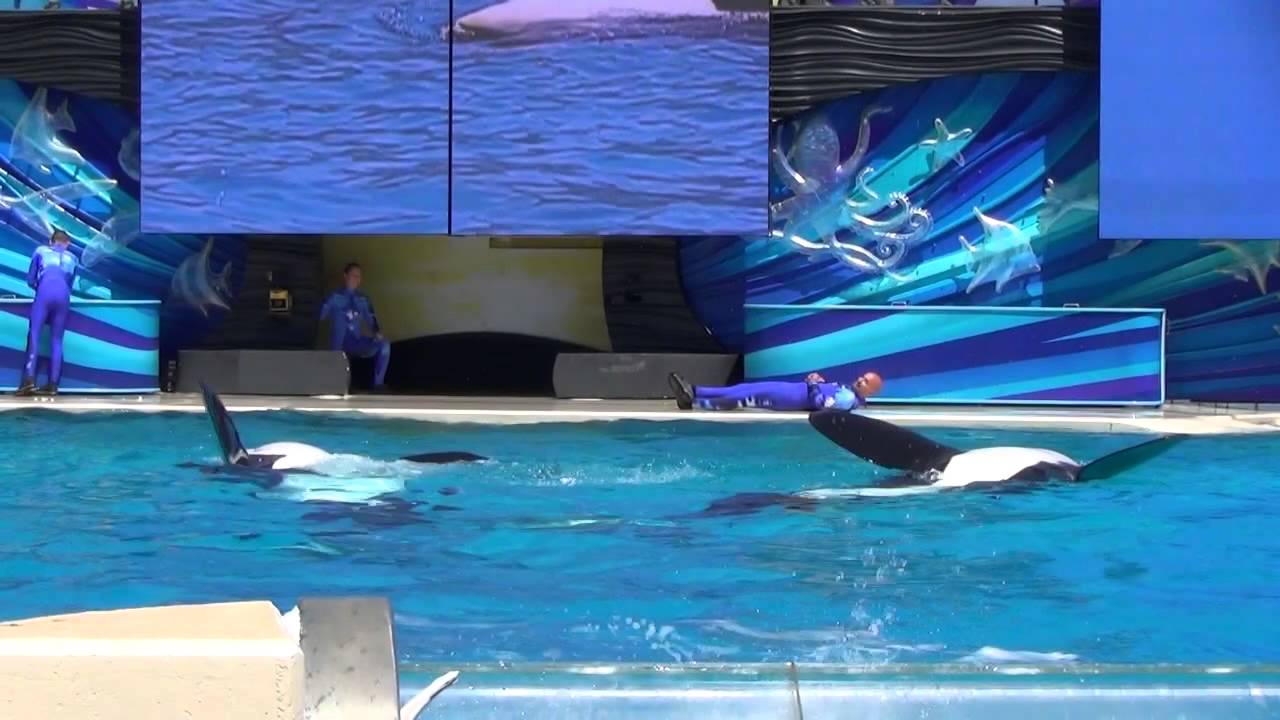 One Ocean Full Show - Soak Zone - SeaWorld San Diego