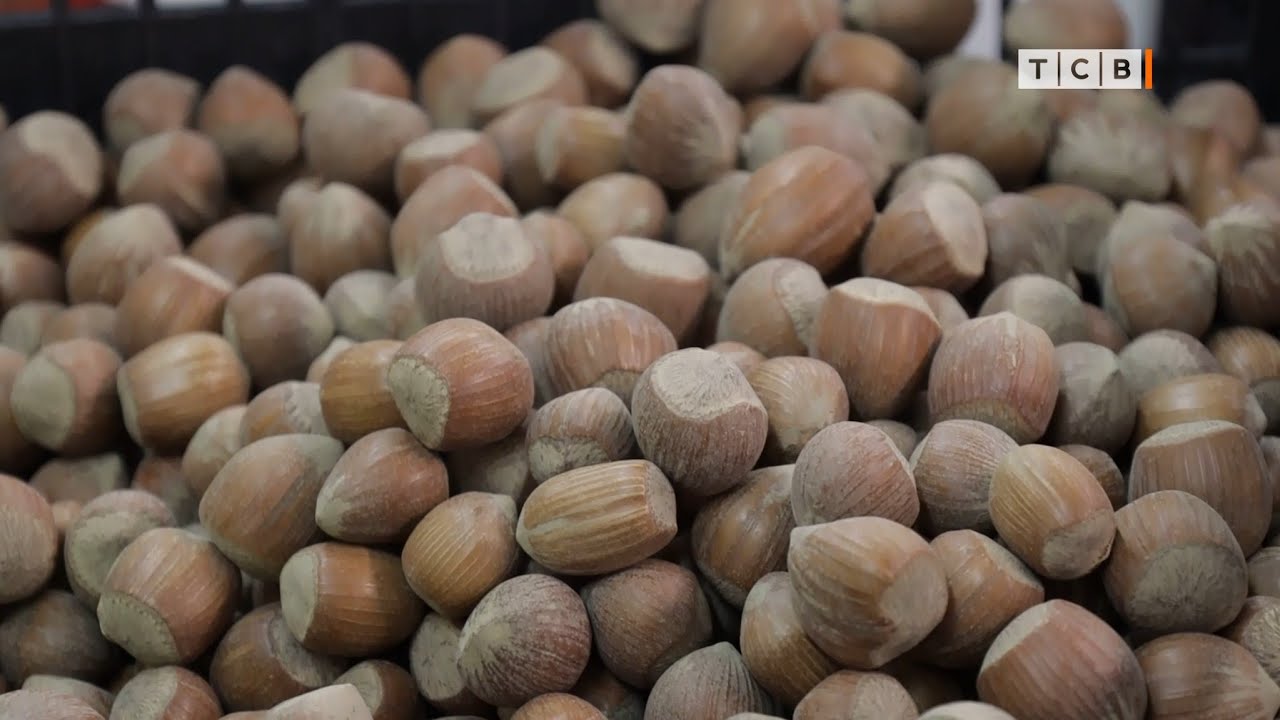 В каких продуктах содержится много магния