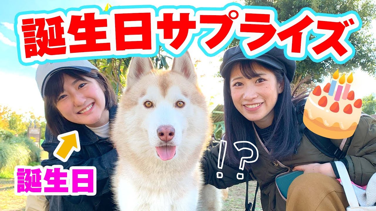 【誕生日どっきり】なるがずっと会いたかったあの子に会わせてみた！！✨