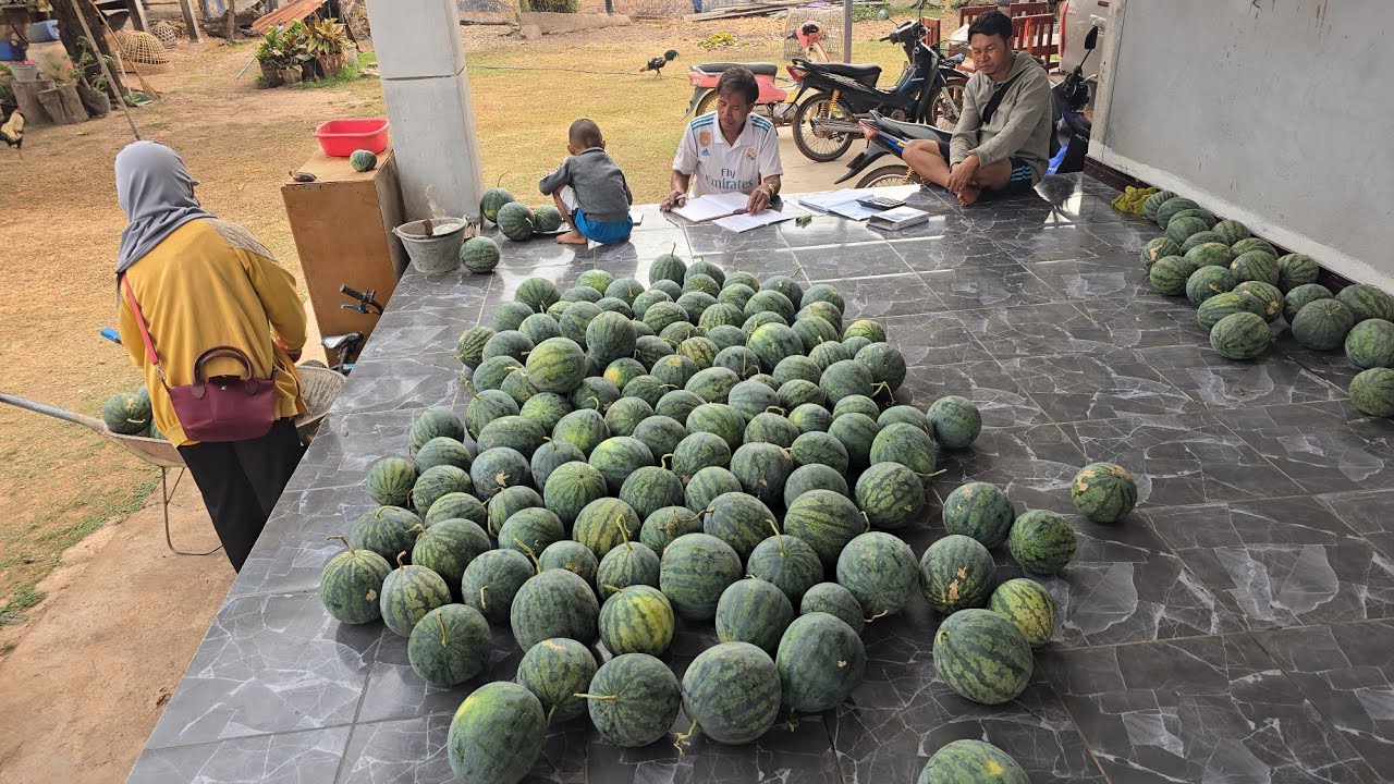26 กุมภาพันธ์ ค.ศ. 2026