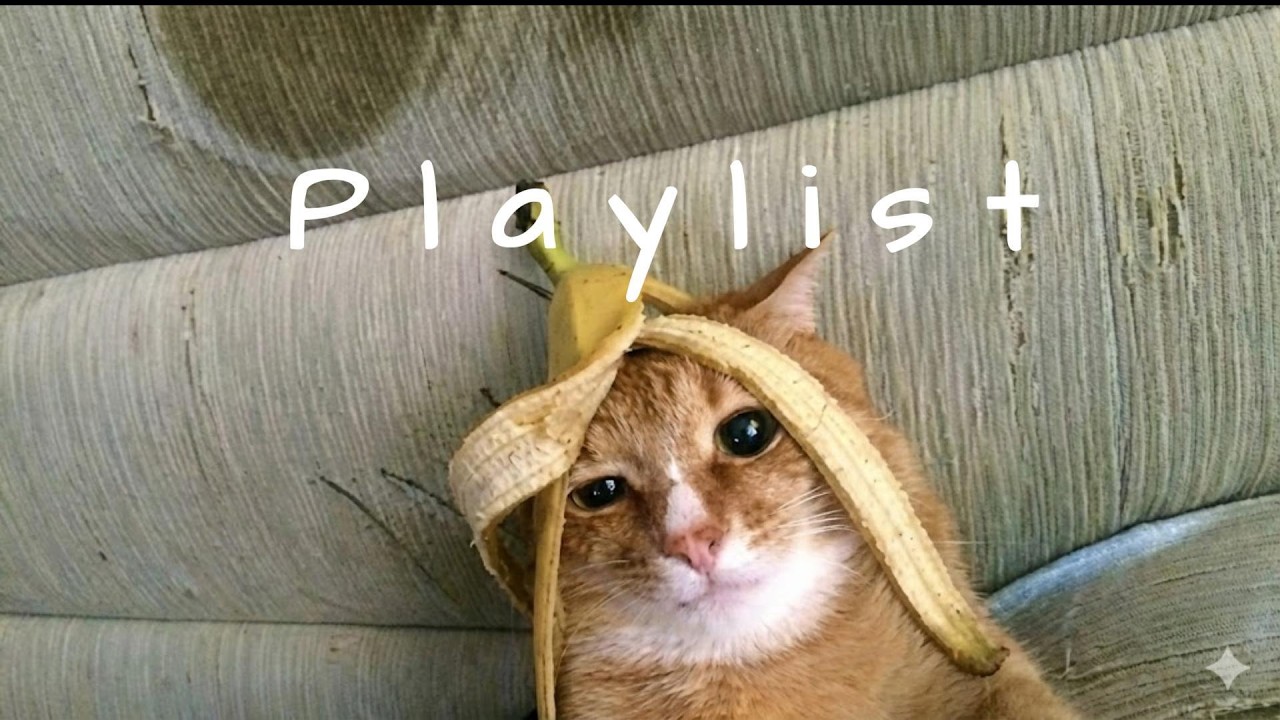 𝐏𝐥𝐚𝐲𝐥𝐢𝐬𝐭 릴스 넘기다 멈췄던 그 노래, 사실은 나만 듣고 싶었어 🤍🎧 | chill r&b · study & relax