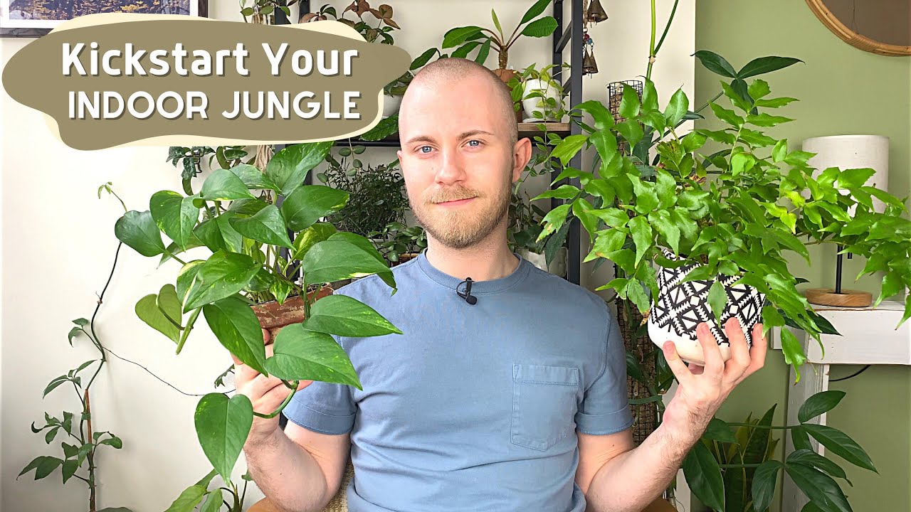 5 Plants To Kickstart Your Indoor Jungle