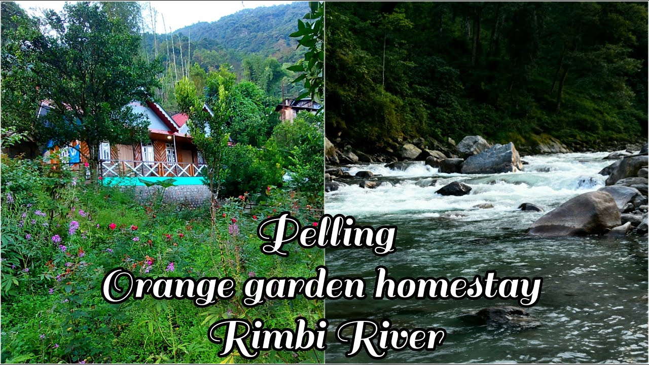 Orange garden | orange garden homestay | pelling | Rimbi river | west sikkim |