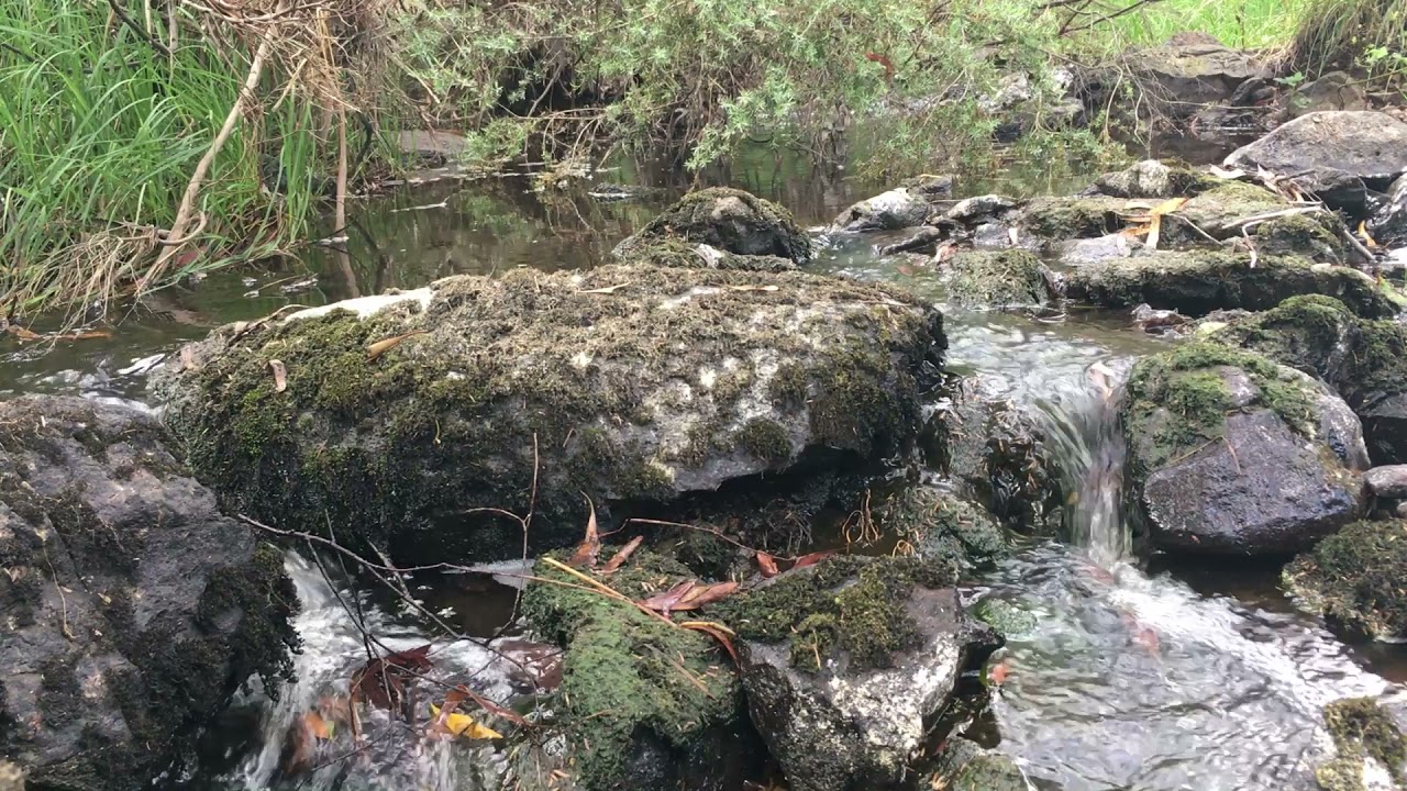 Sounds of Mother Nature, Campaspe river.