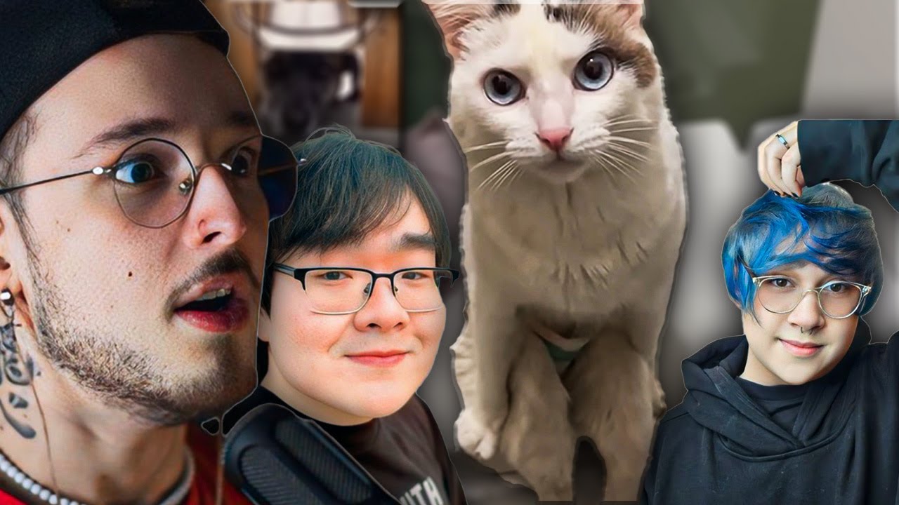esse gato ta no vale da estranheza 100% (ft. @Scottonauta @Tibba041 )