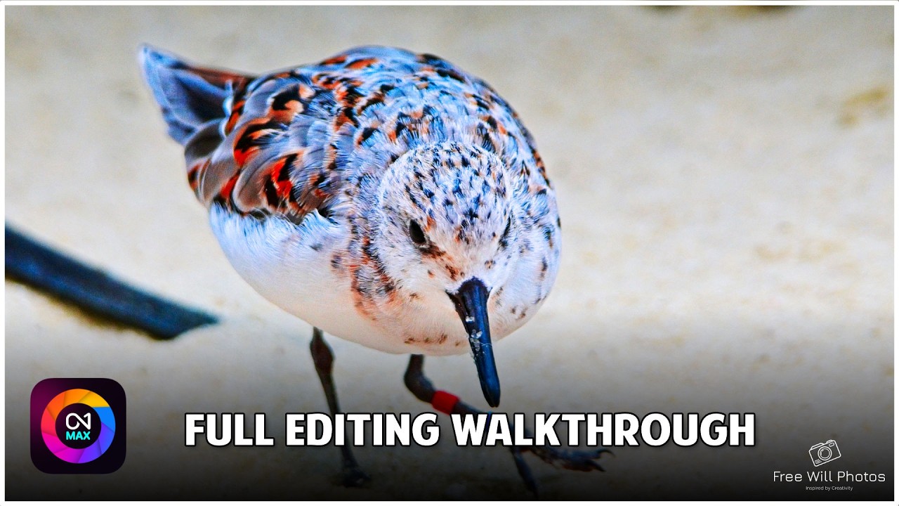 ON1 Photo RAW 2026: Edit Bird Photos (Decisions & Techniques!)