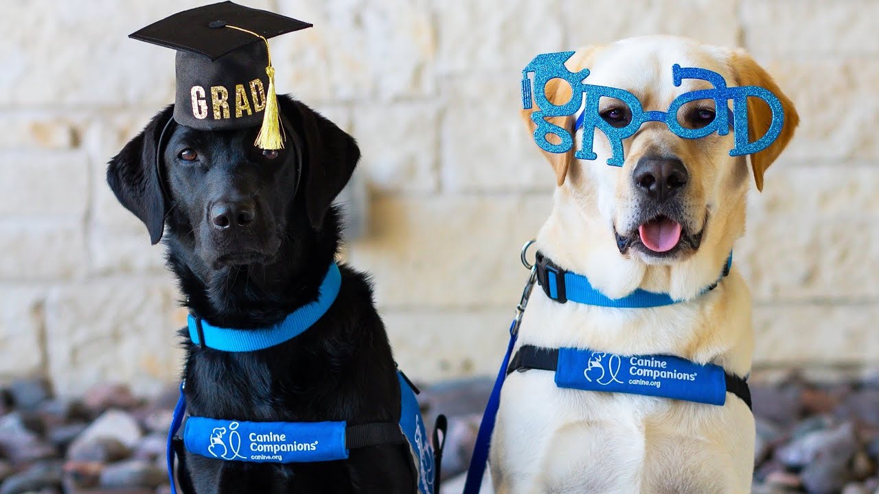 Service Dog Teams Graduation | Northwest Region | August 8, 2025 | Canine Companions