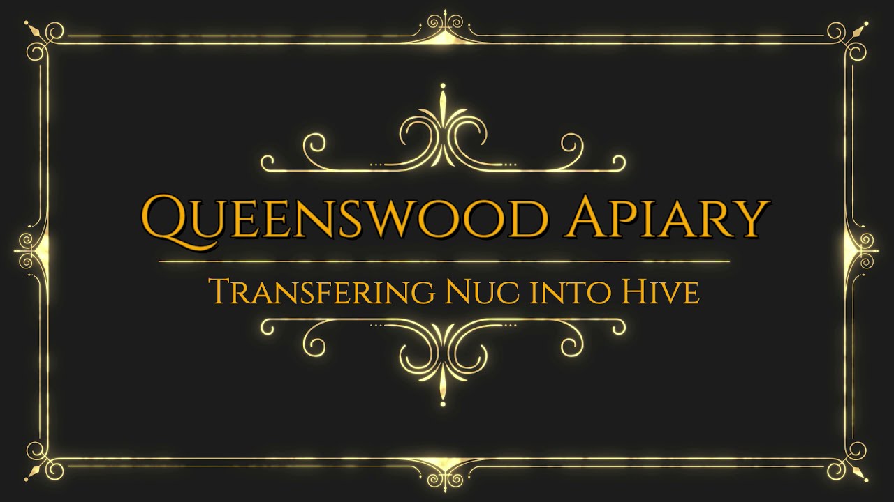 11, Transfering 6 Frame Nuc to Long Hive