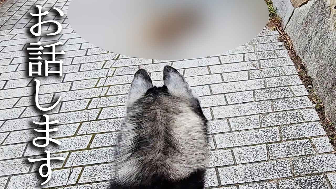 散歩中に倒れていた動物を発見して保護しょうとしたら...