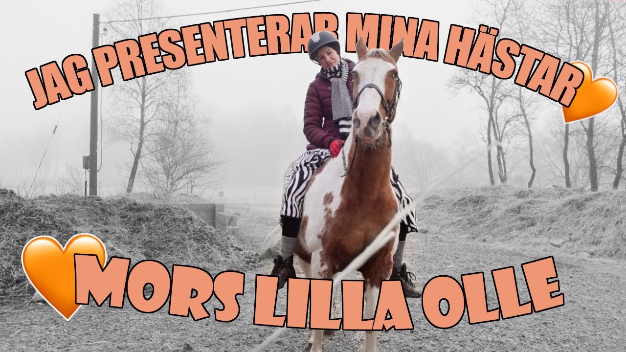Presenterar mina hästar || Del 1 - TINTIN ♥