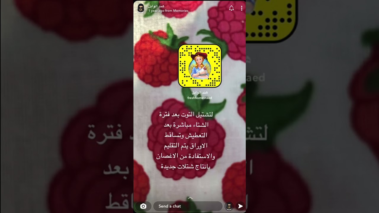 التوت