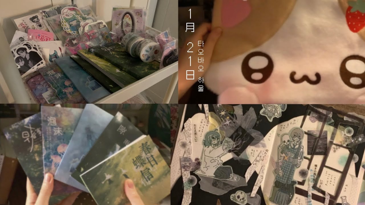 타오바오 하울 . . 🐢 | 다꾸매트 실사스티커북 등