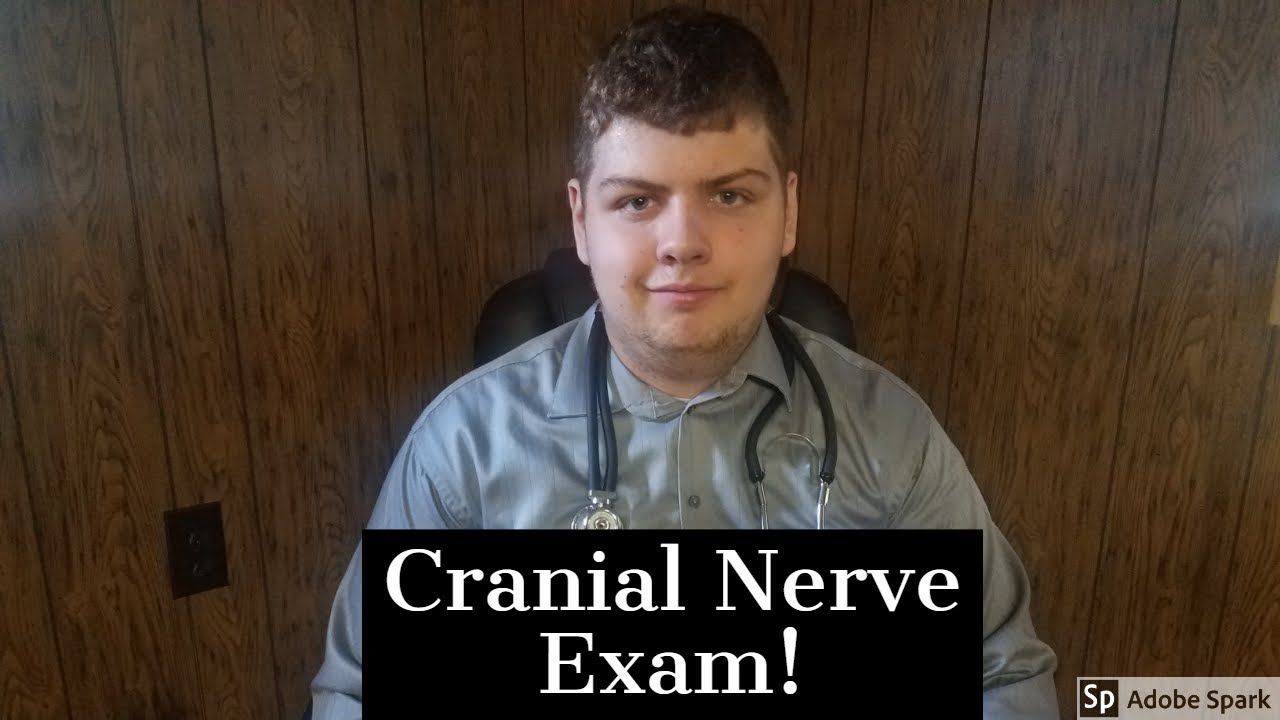 ASMR Cranial Nerve Exam!