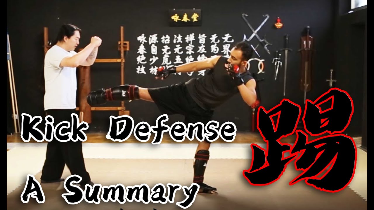 Tai Chi Combat - San Shou Kick Defense Summary