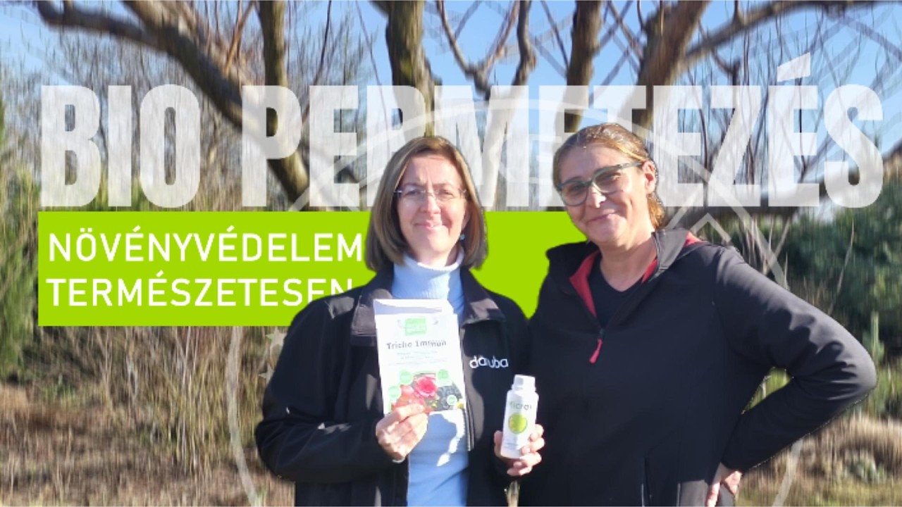 LEMOSÓ PERMETEZÉS: Bio trükkök a beteg fák megmentéséhez