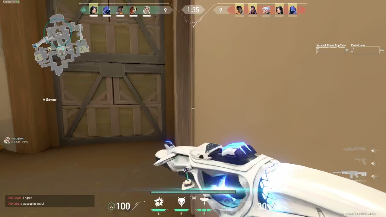 [VALORANT] Ion Phantom Ace On Haven Using Skye