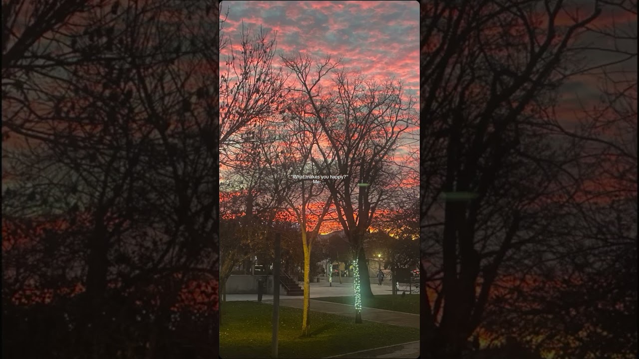 Magical moments at sunset 