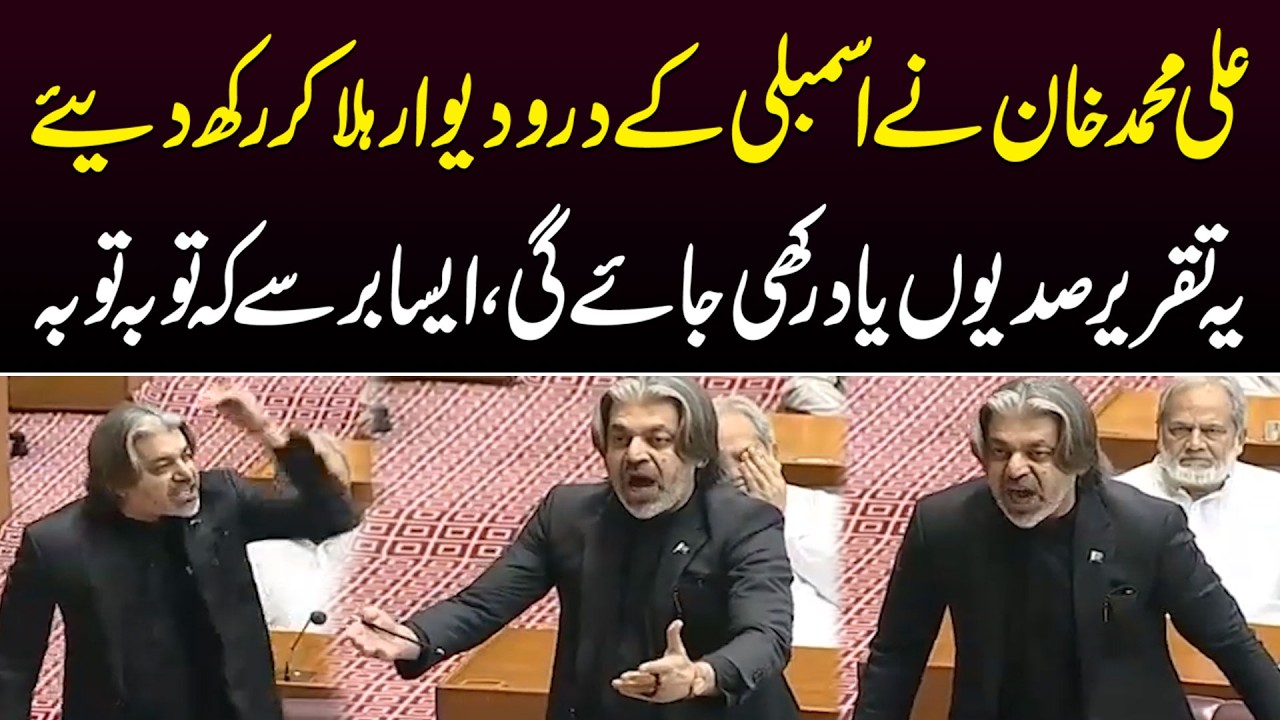 PTI Leader Ali Muhammad Khan's Furious Speech in National Assembly | Budget 2026 | Public News