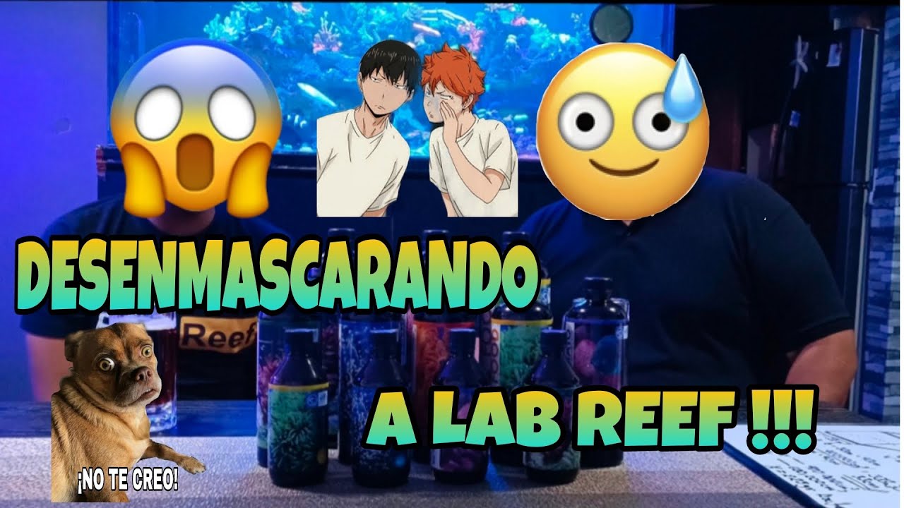 LAB REEF … MITOS Y VERDADES DE LA BACTERIA PARA ACUARIOS MARINOS