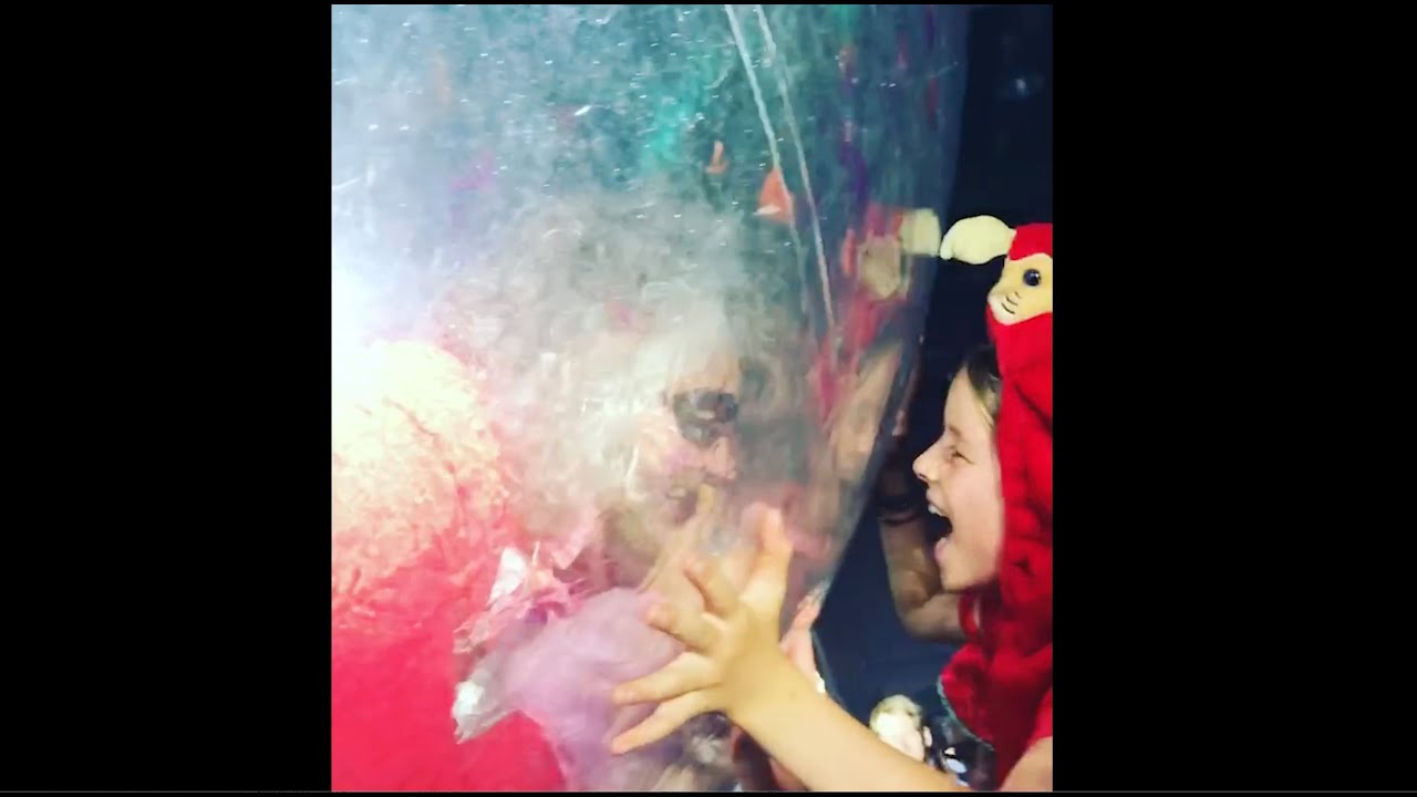 Nell Smith - Boy in a Bubble [Official Video]