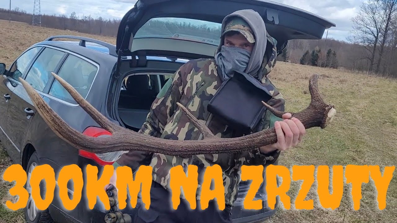 Zrzuty jeleni - Wyprawa 300 km na - zrzuty jeleni