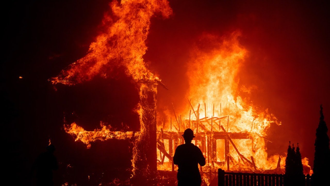 Rebuilding Paradise | Q&A with director Ron Howard & Guests