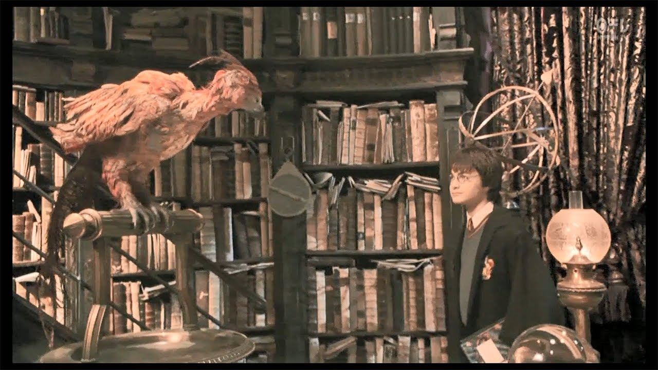 不死鳥フォークス