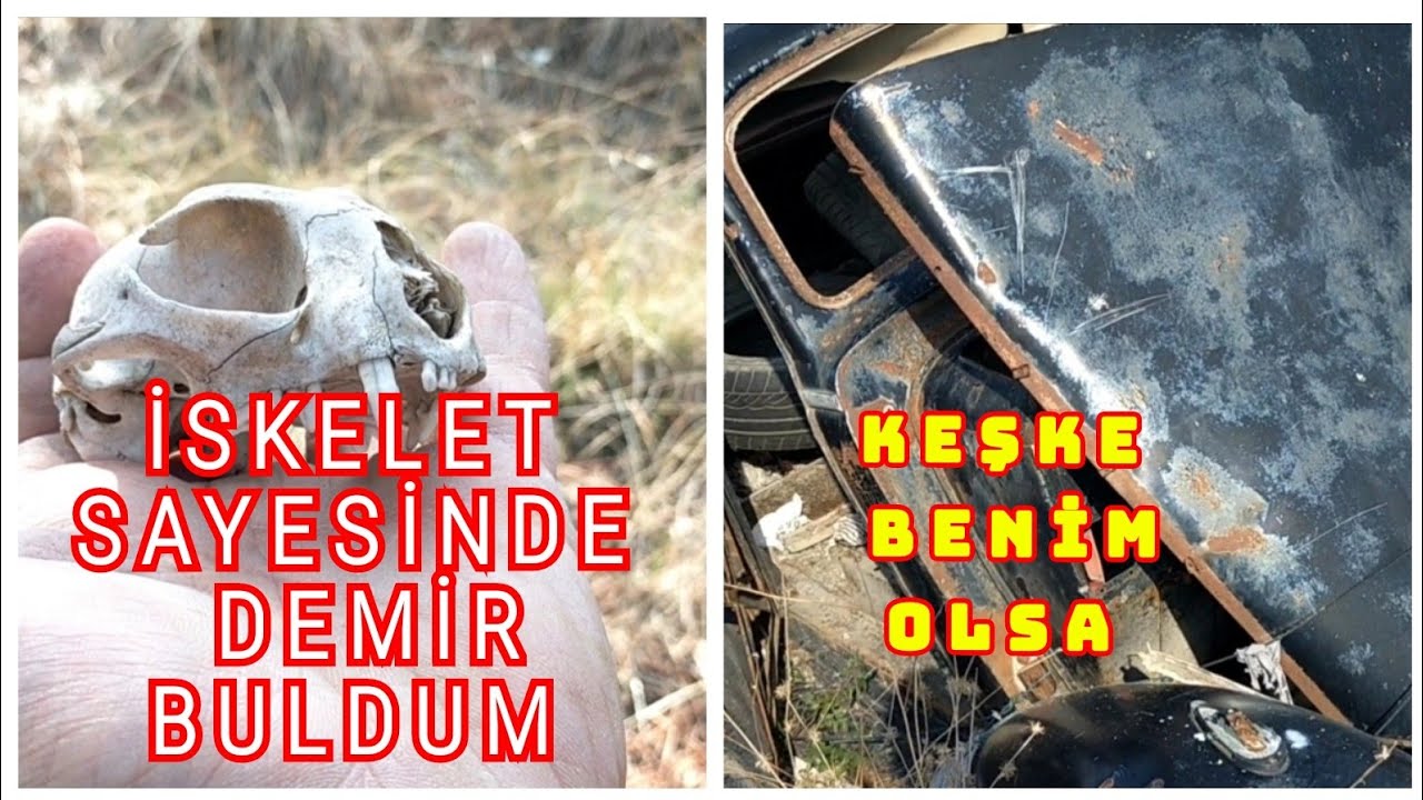 HURDA TOPLUYORUM. ORMAN TEMİZLİĞİ