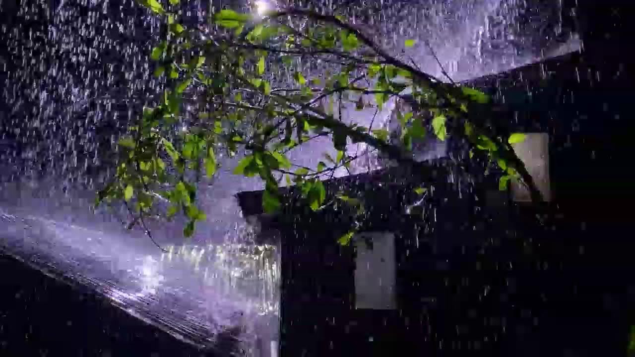 Deep Sleep Rain Sounds – Heavy Rain on Tin Roof for Instant Sleep (No Ads)