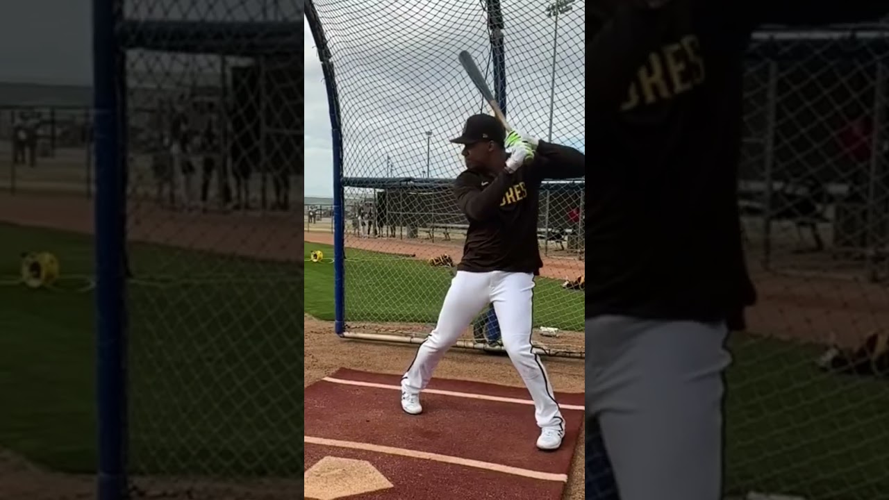 Disfruta en c&aacute;mara lenta del swing de Juan Soto #mlb #juansoto #beisbol #padres
