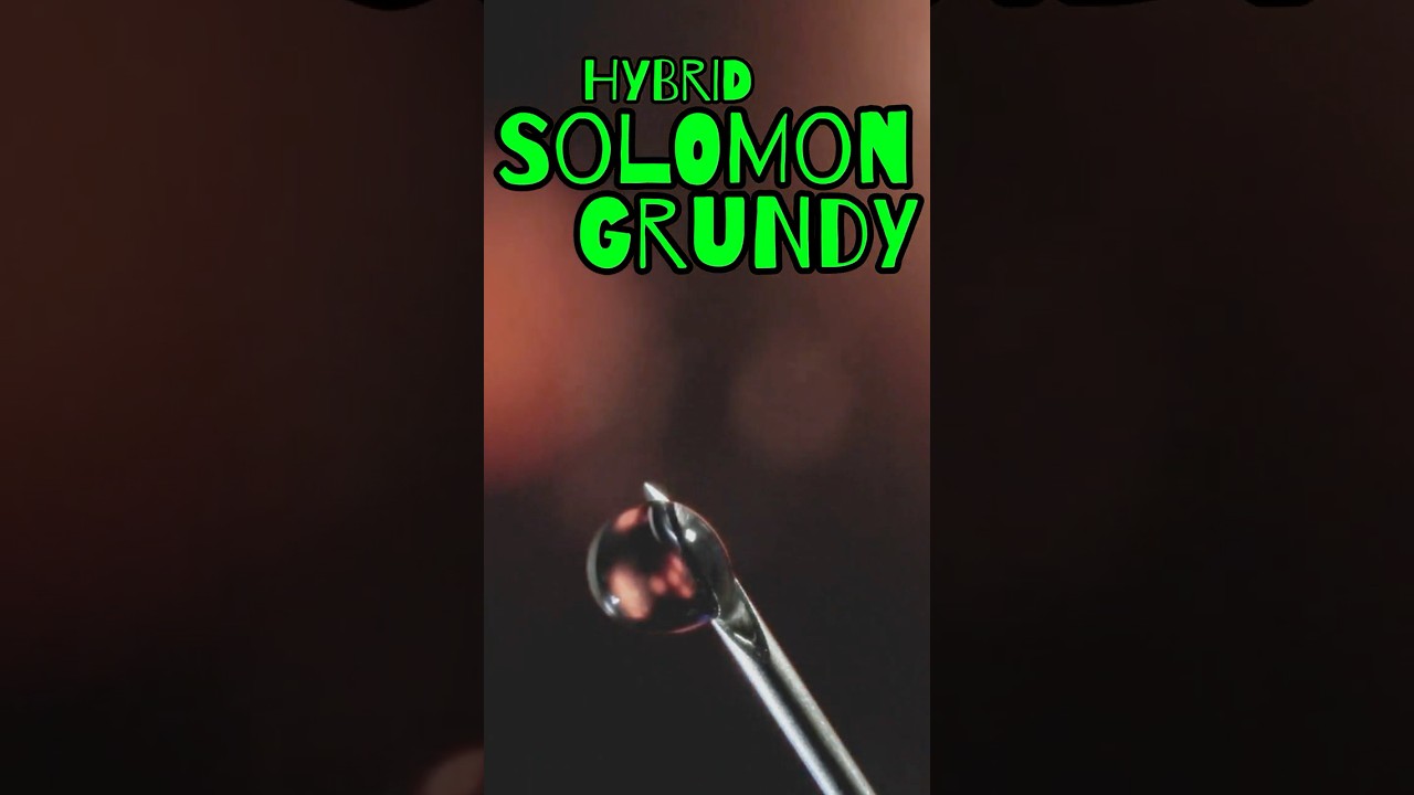 🔥 Solomon Grundy Strain Review | Hybrid Concentrate by Modern Flower (Trulieve) 🌿💨