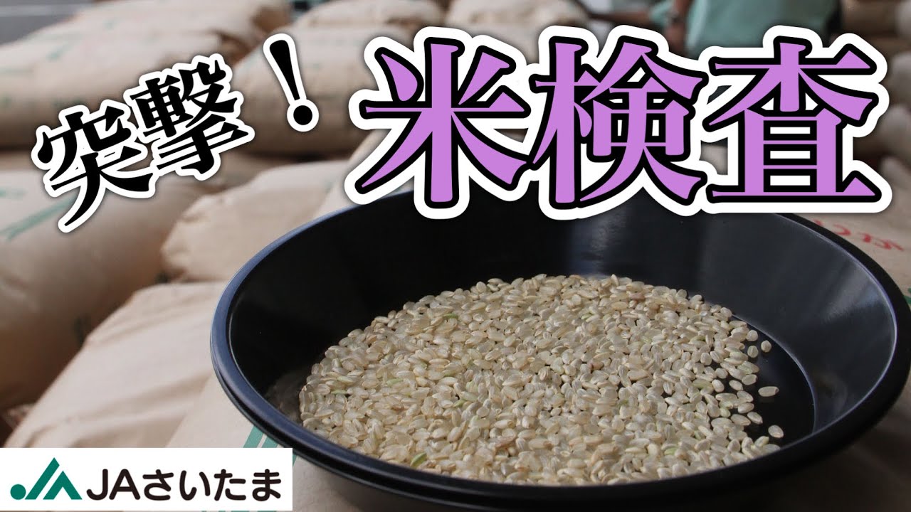 突撃！ＪＡさいたま米検査