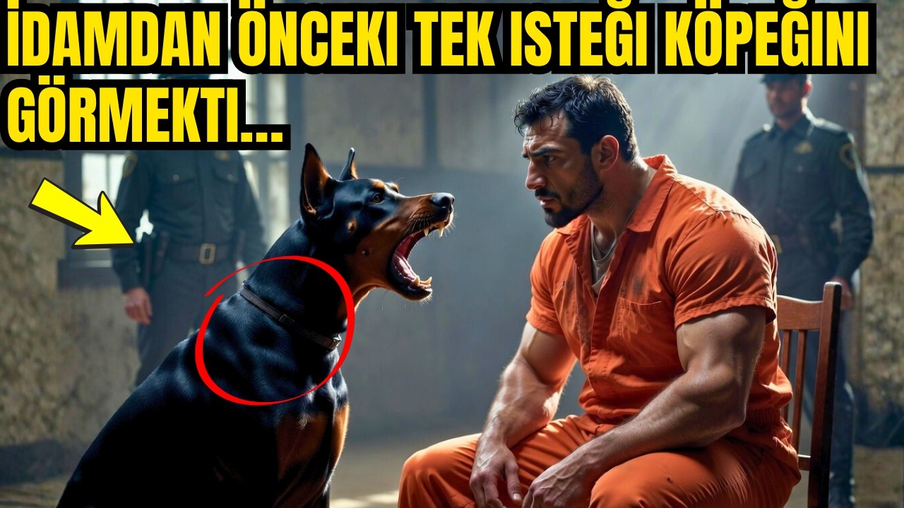 Antalya, 1979: İdamdan önceki tek isteği köpeğini görmekti… ve korkunç bir sır açığa çıktı