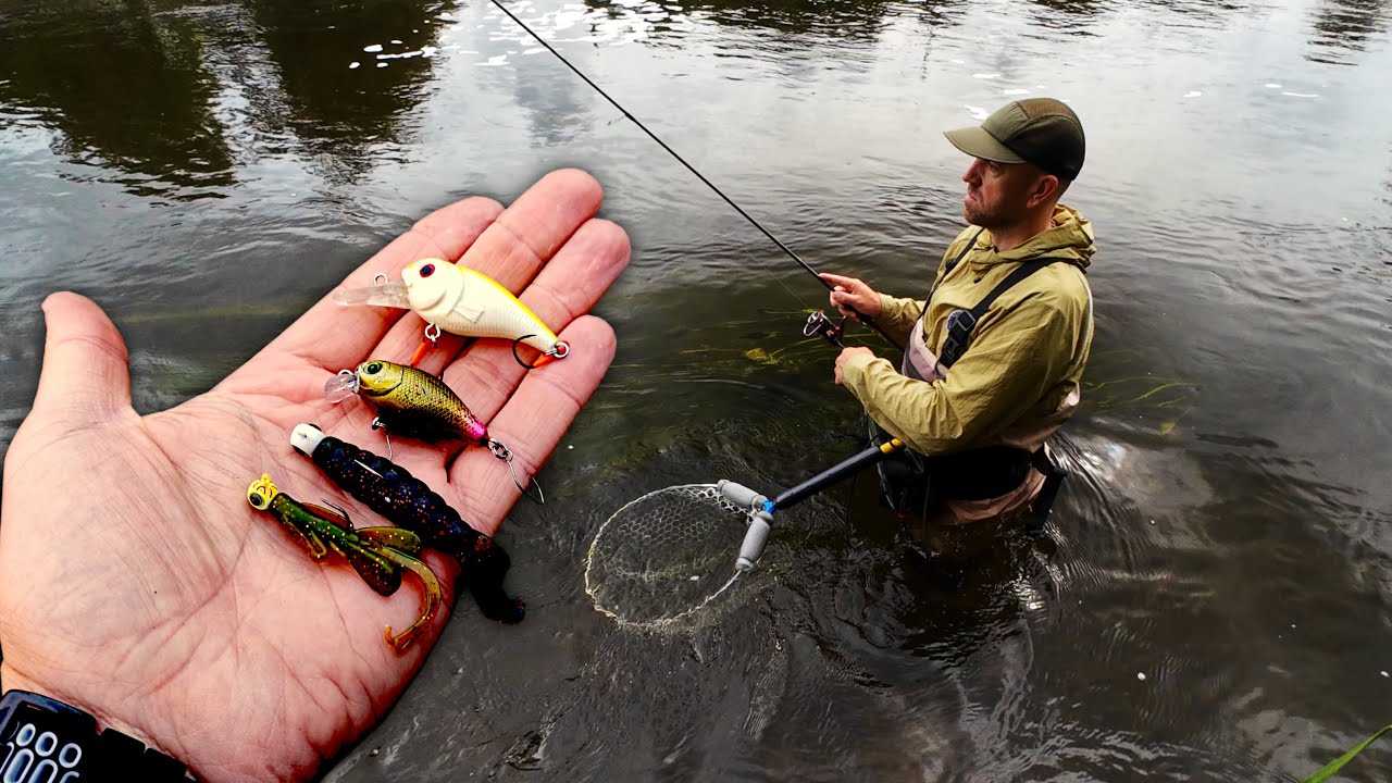 Lure fishing for everything that swims! Purelure NDMBLS tested