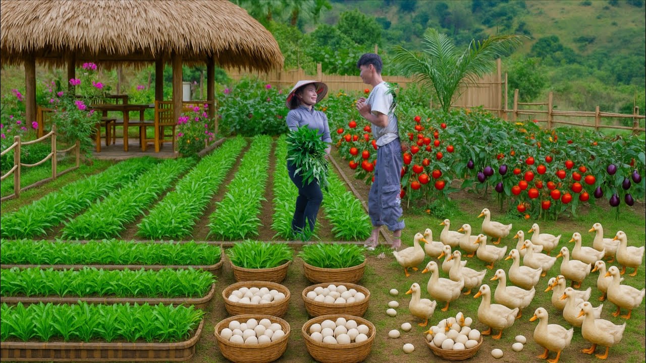 OFF-GRID FARM LIFE in Vietnam | Harvesting Organic Vegetables & Duck Eggs for Market | Homestead