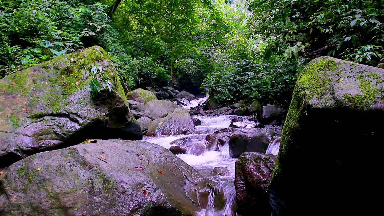 Mountain River Flowing Sounds to Calm Anxiety, Gentle Water White Noise Background