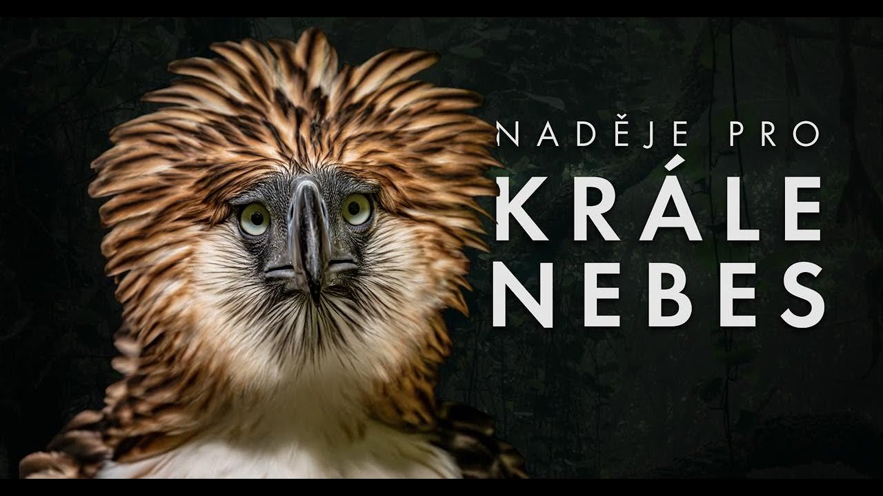 Naděje pro krále nebes | Dokumentární film