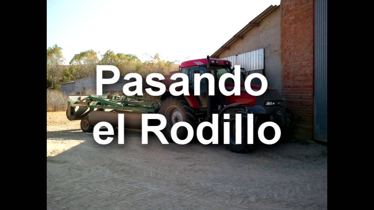 Pasando el rodillo con el McCormick y sembrando con el Case Mx170.