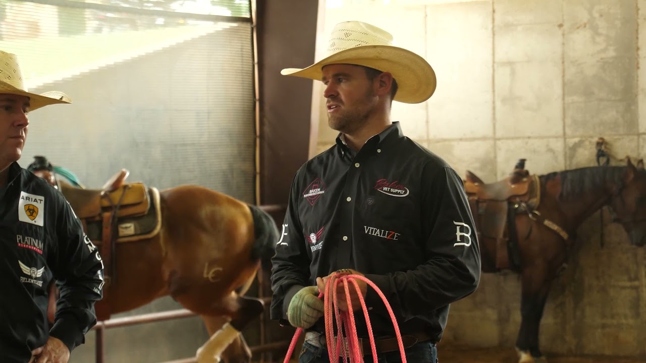 Managing Your Young Horse's Progress